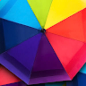 Meet your Posher, Luz